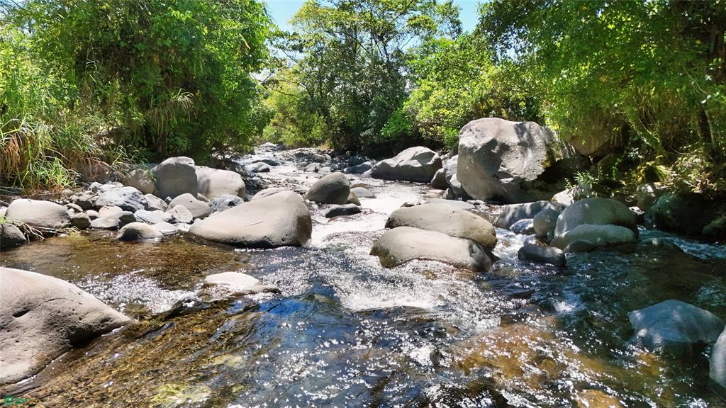 Finca Tropical Food Forest