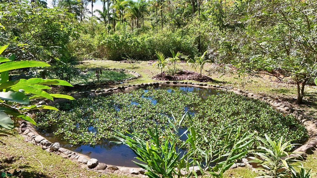 Finca Tropical Food Forest