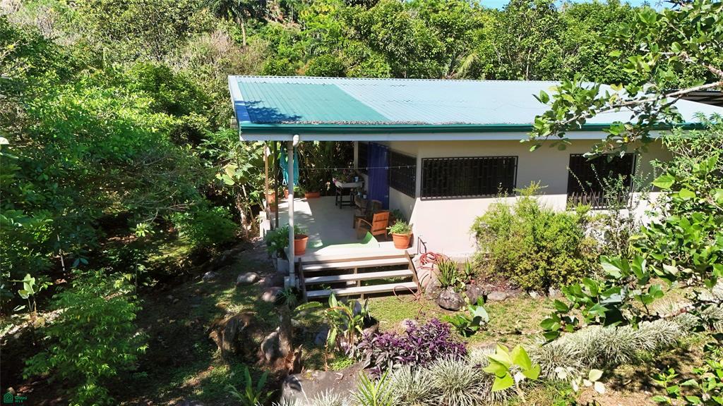 Finca Tropical Food Forest
