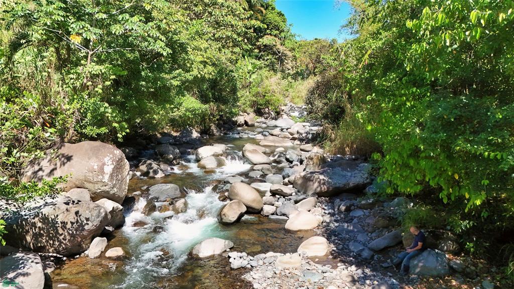 Finca Tropical Food Forest