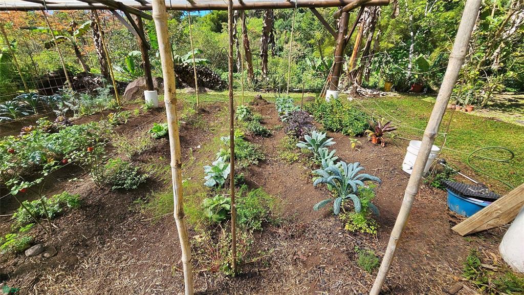 Finca Tropical Food Forest