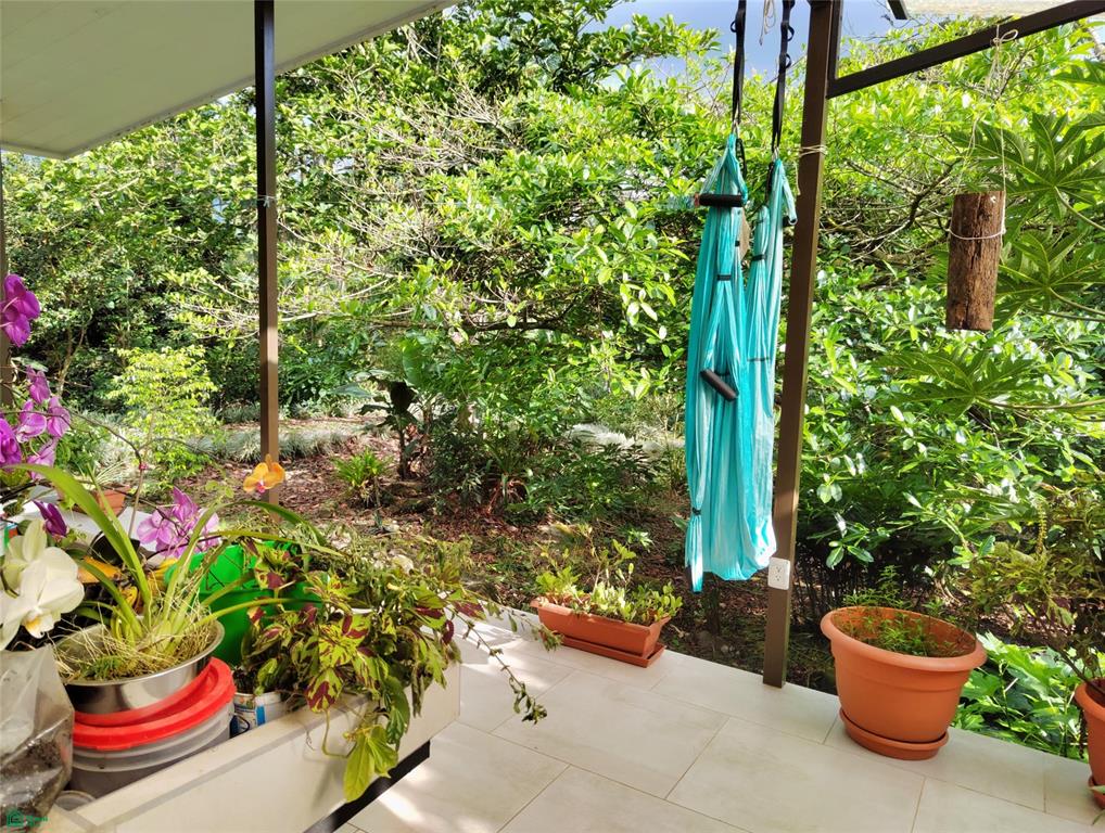 Finca Tropical Food Forest