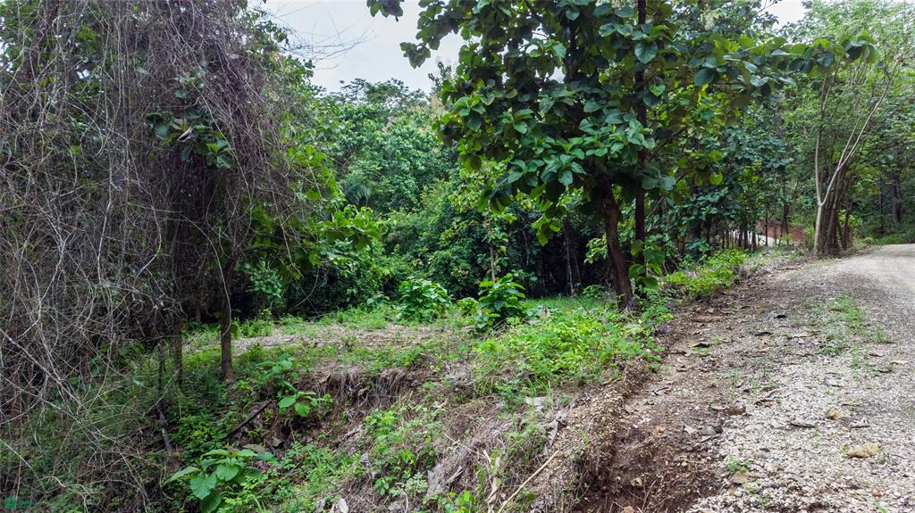 Riverside Lot 8,509 m2 in Santa Marta