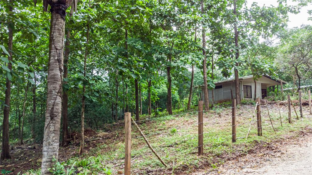 Riverside Lot 8,509 m2 in Santa Marta
