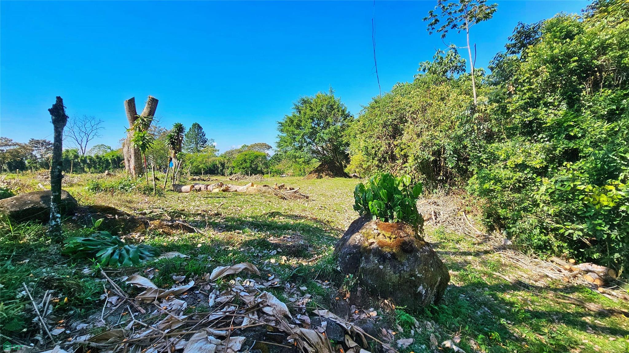 Lot 3500m², Playa Verde
