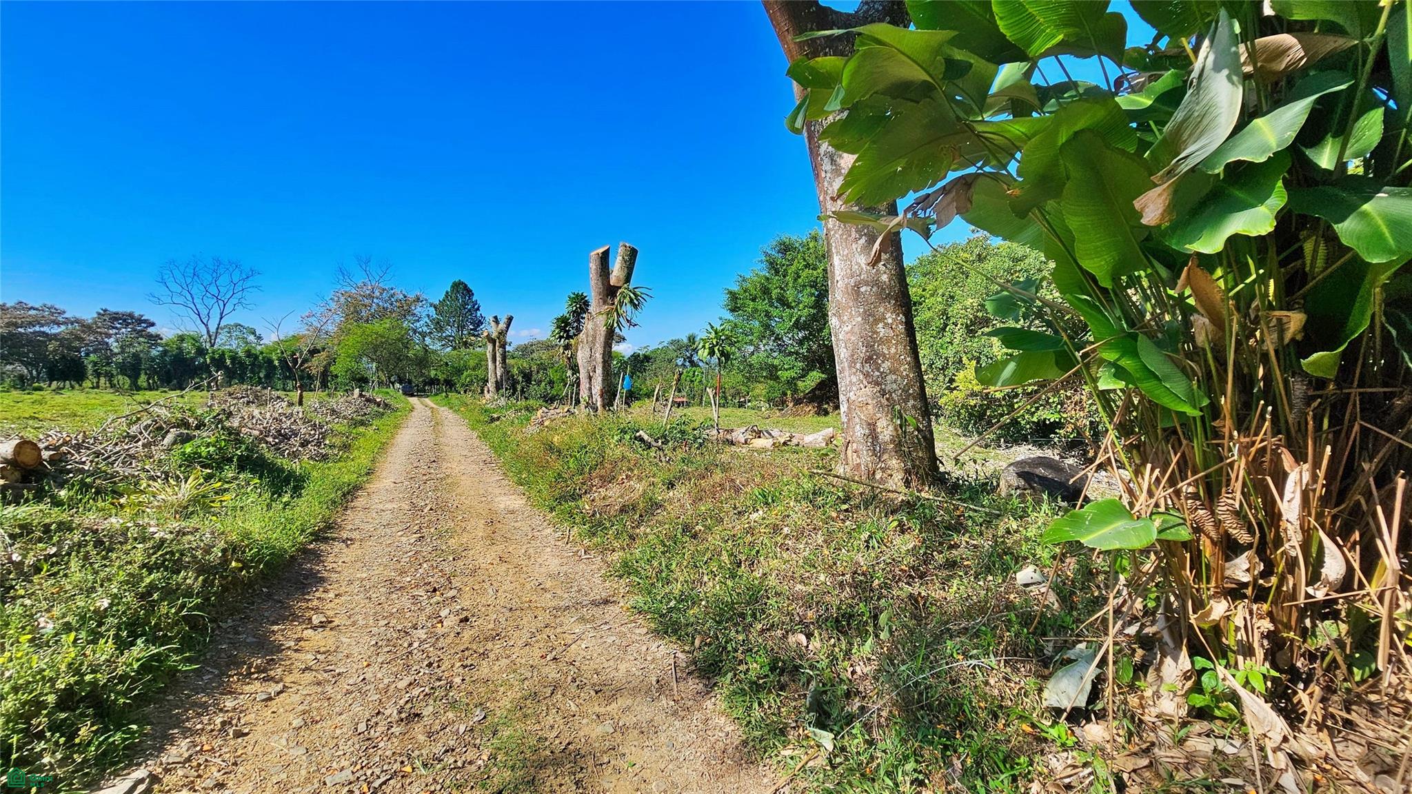 Lot 3500m², Playa Verde