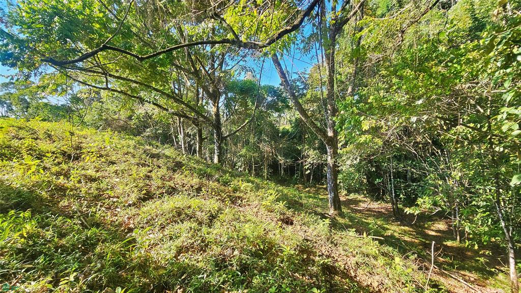 Lot 11,259 m² Playa Verde