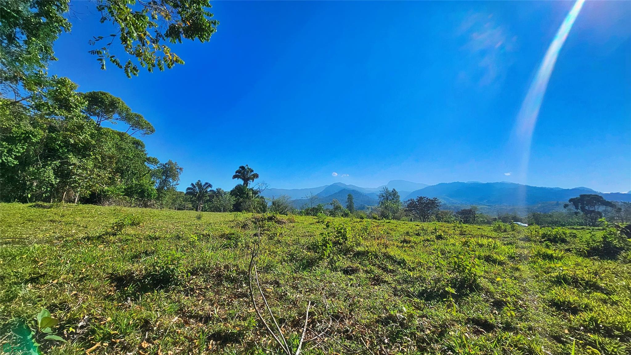 Lot 11,259 m² Playa Verde