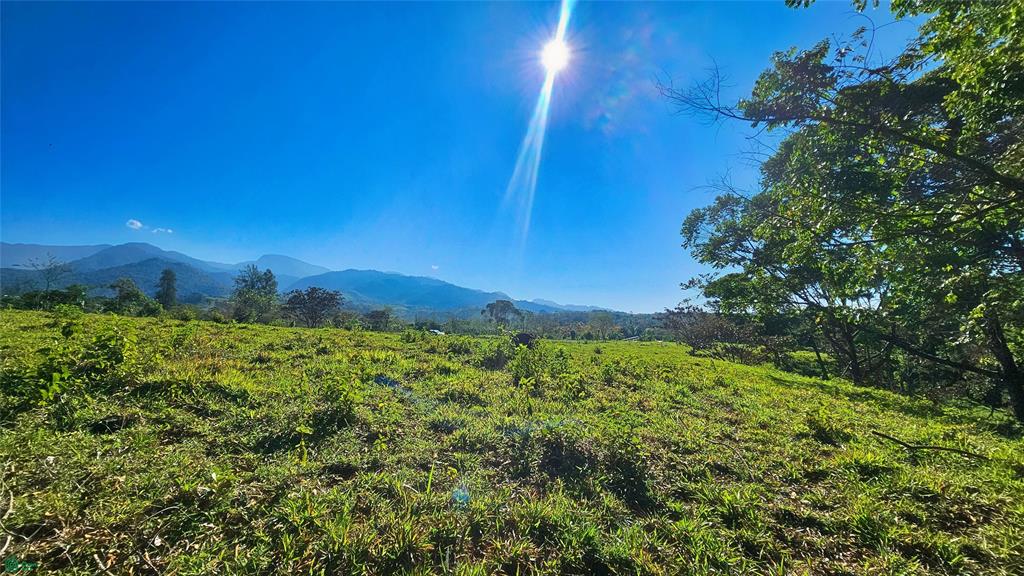 Lot 11,259 m² Playa Verde