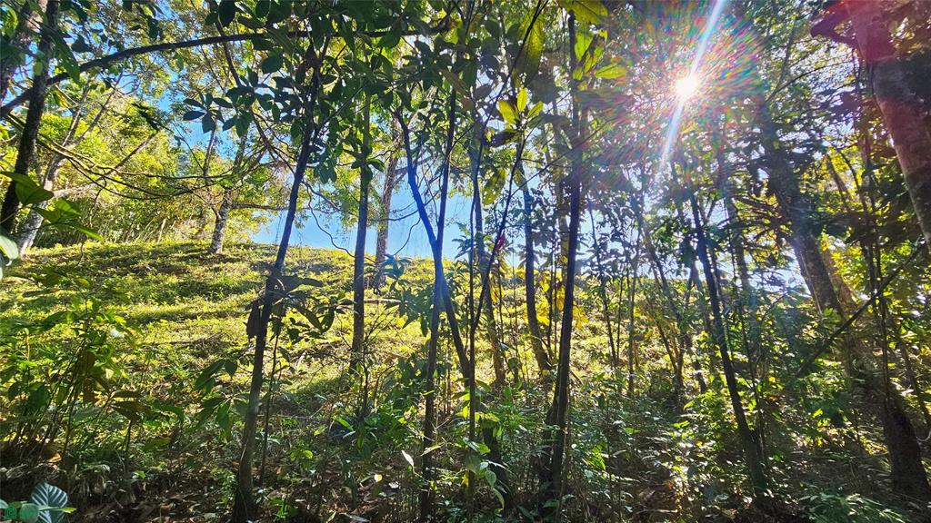 Lot 11,259 m² Playa Verde