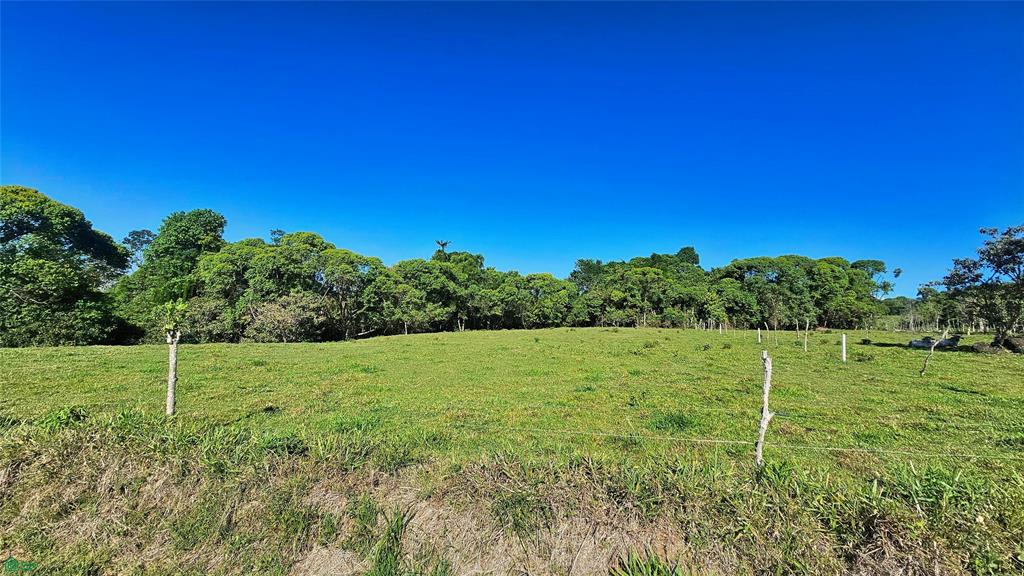 Lot 11,259 m² Playa Verde