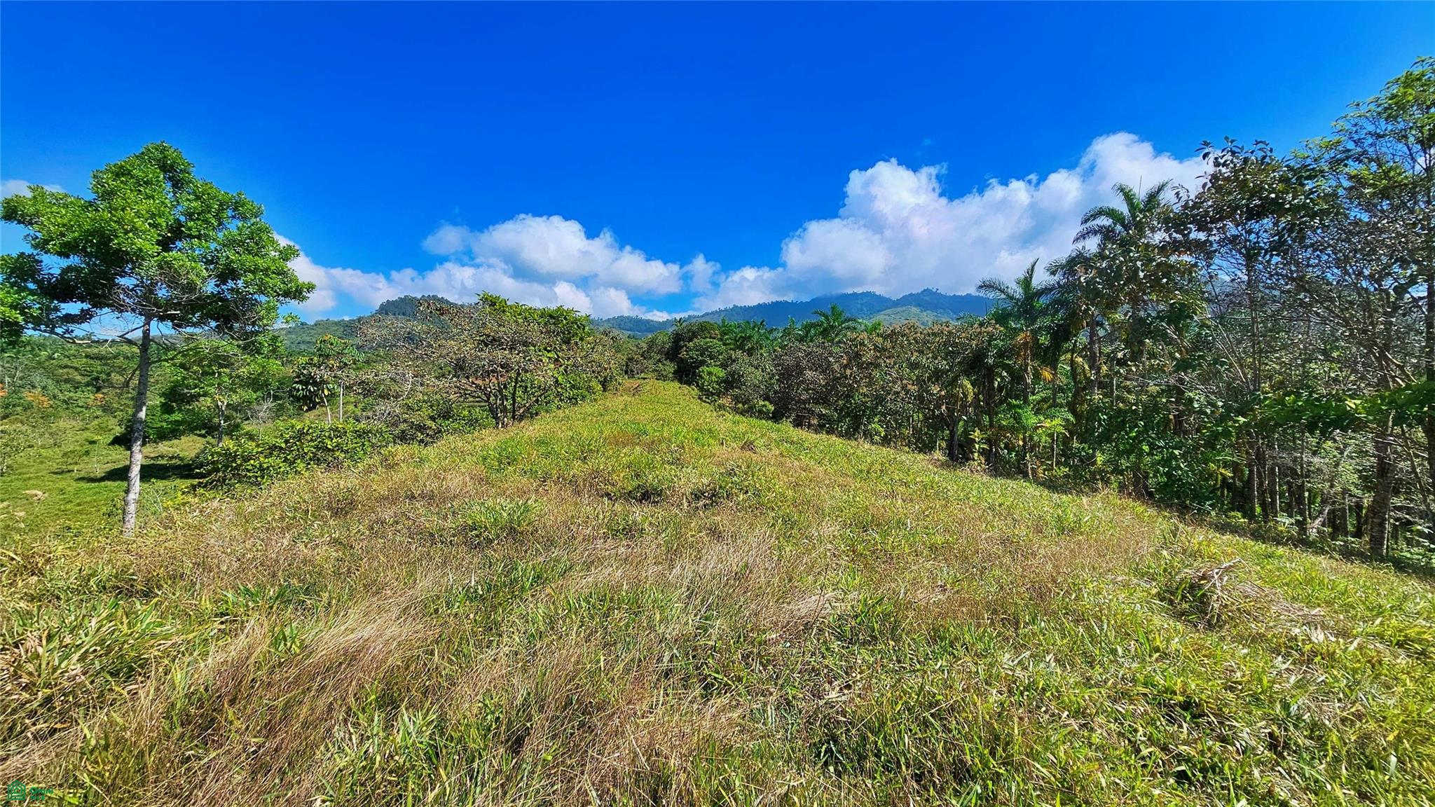 Sunset Valley Finca Tambor