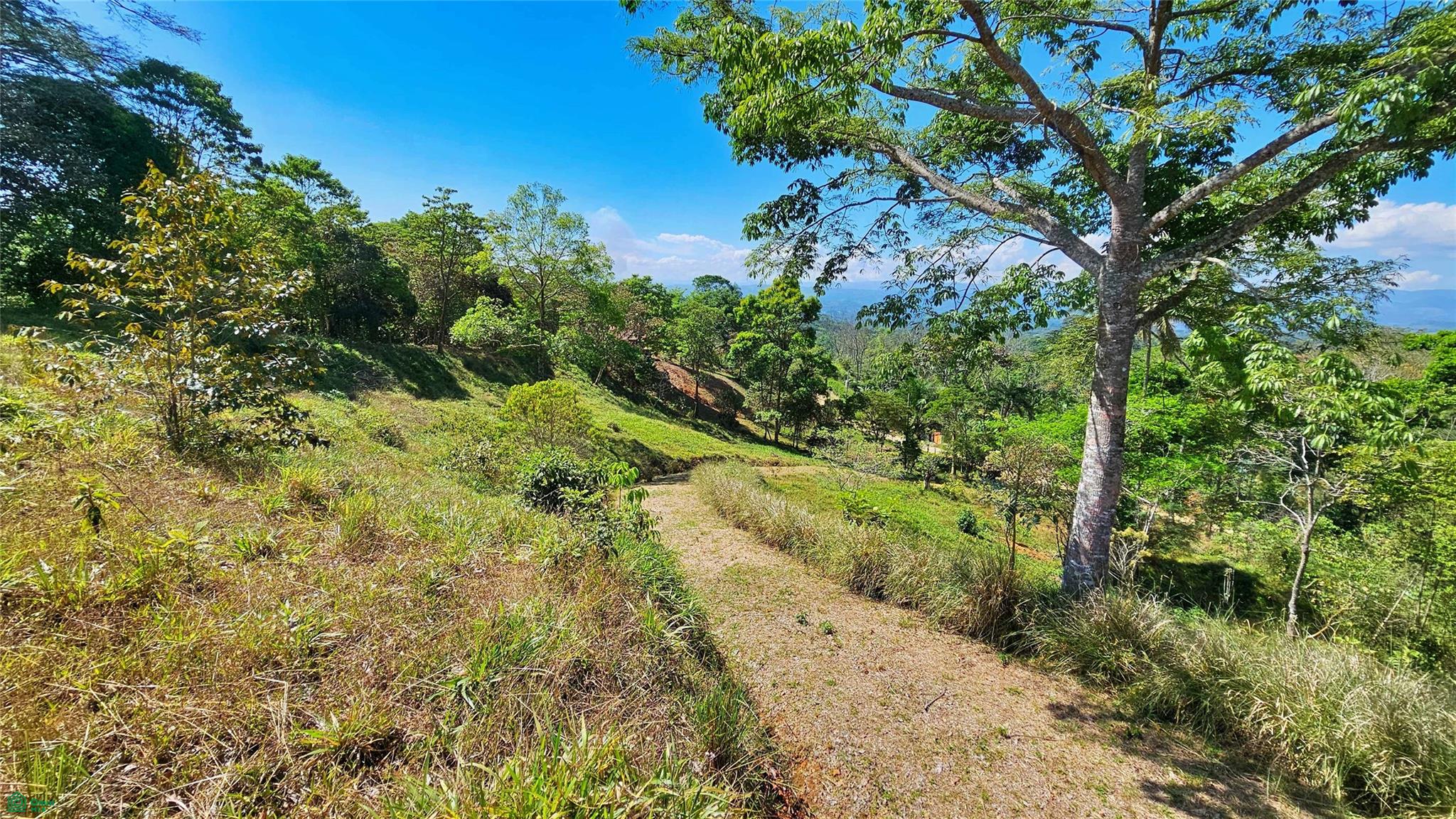 Sunset Valley Finca Tambor
