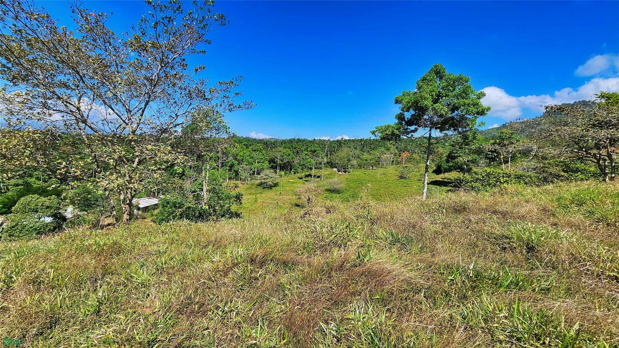Sunset Valley Finca Tambor