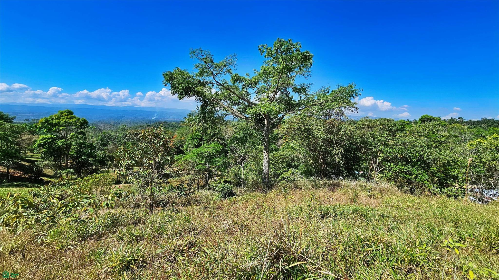 Sunset Valley Finca Tambor