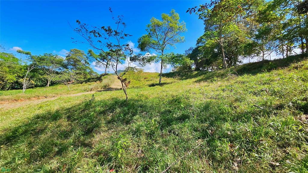 Sunset Valley Finca Tambor