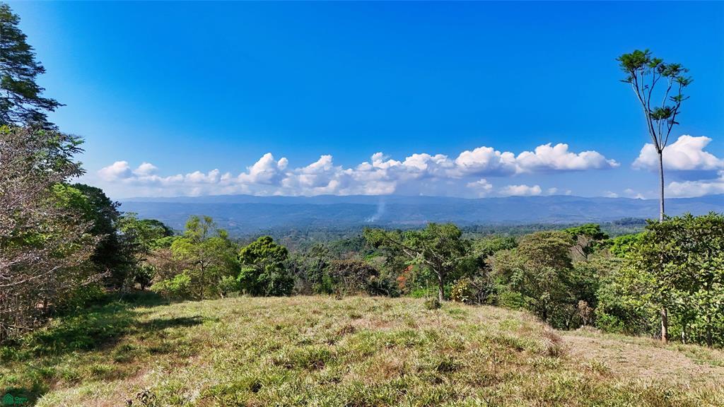 Sunset Valley Finca Tambor