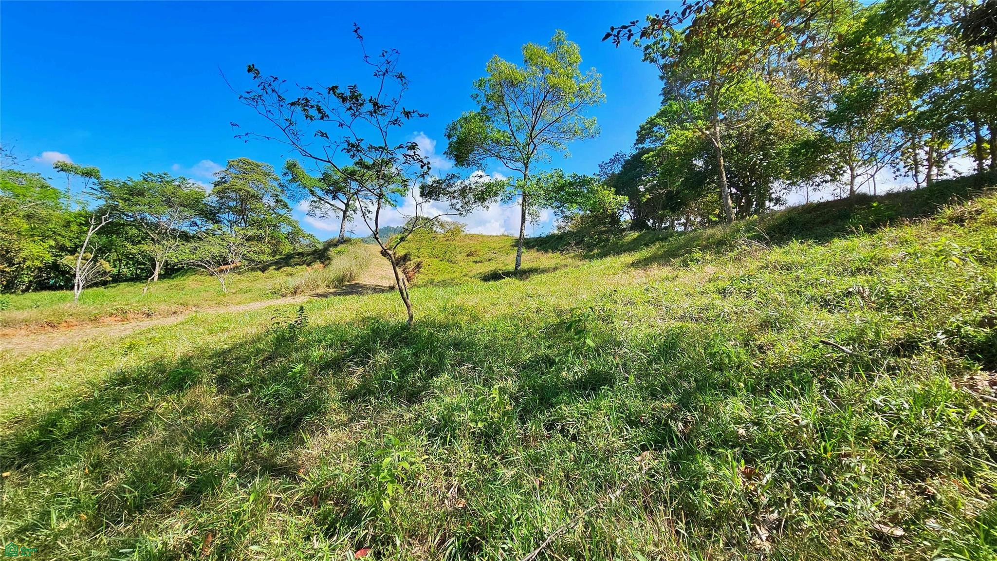 Sunset Valley Finca Tambor
