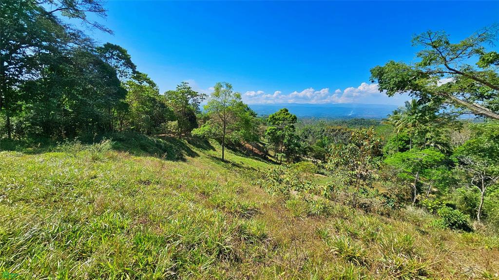 Sunset Valley Finca Tambor