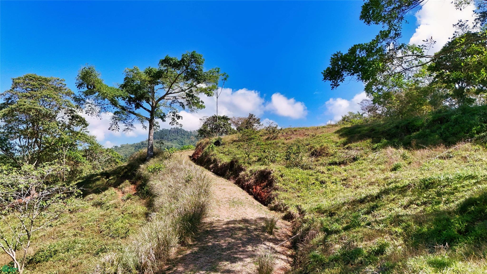 Sunset Valley Finca Tambor