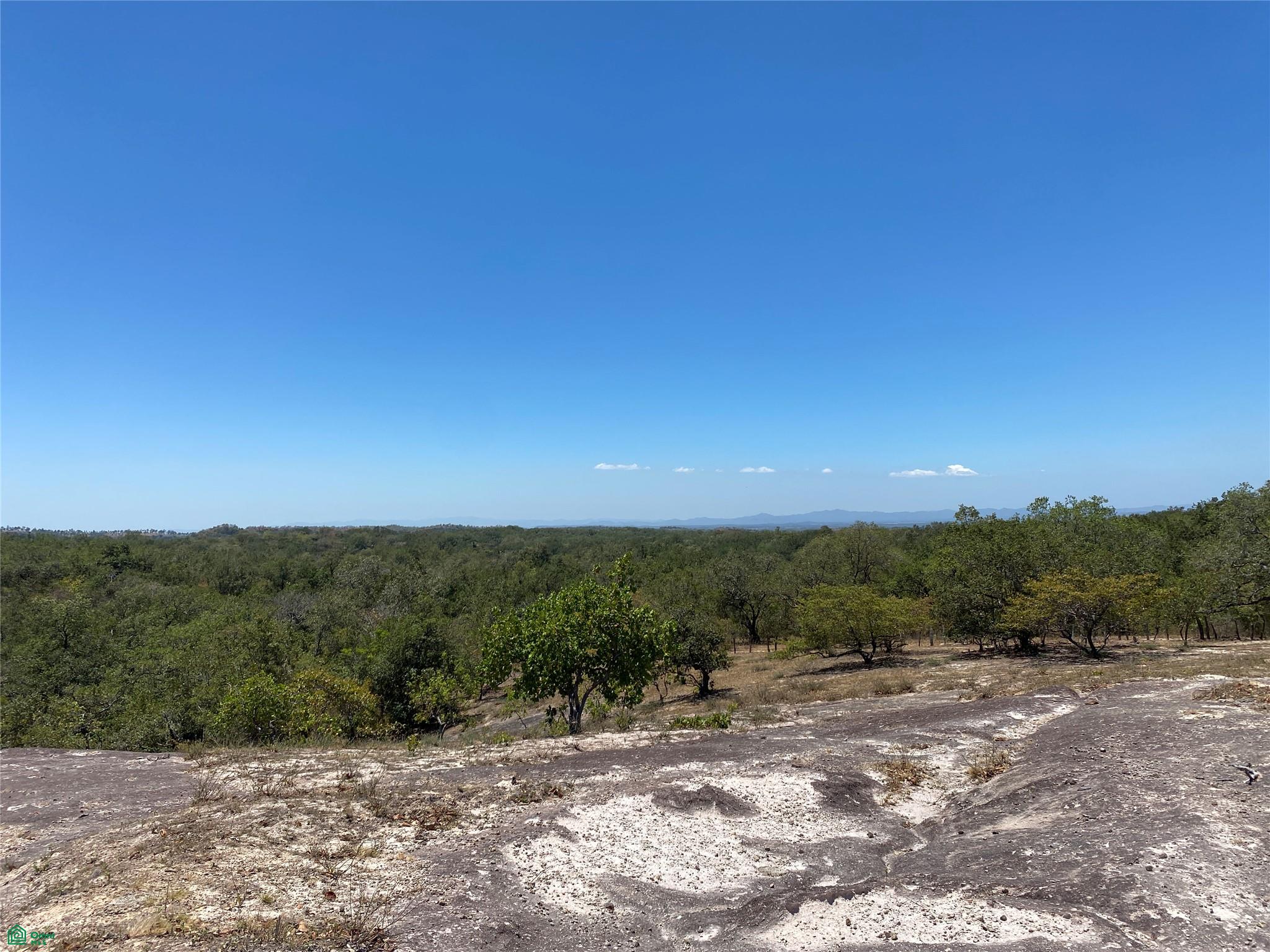 Curubande 48 Acres