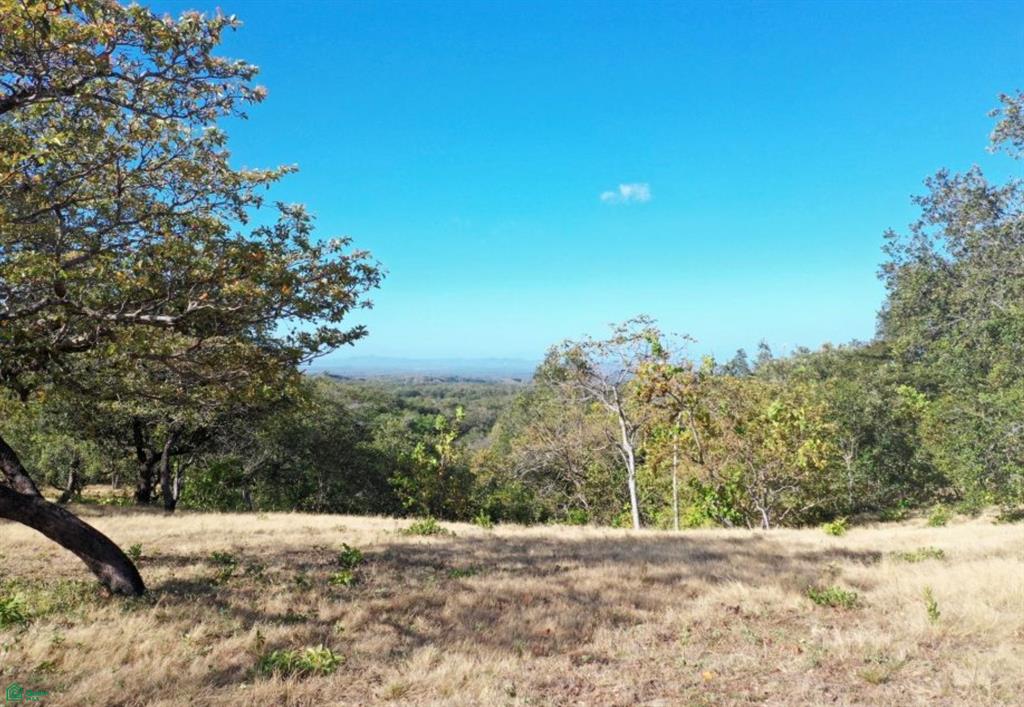 Curubande 48 Acres