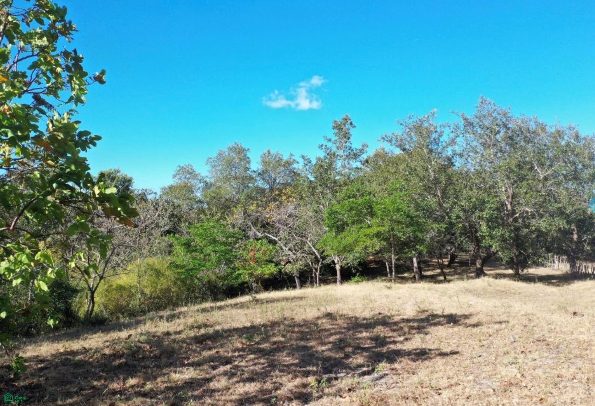 Curubande 48 Acres