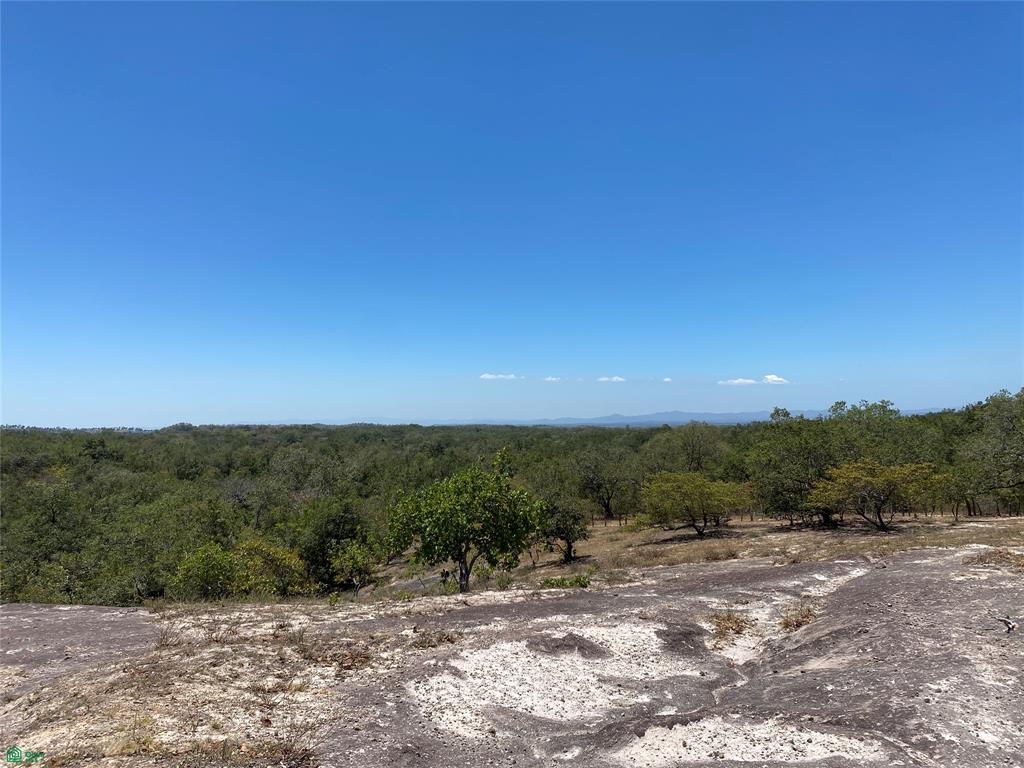 Curubande 48 Acres