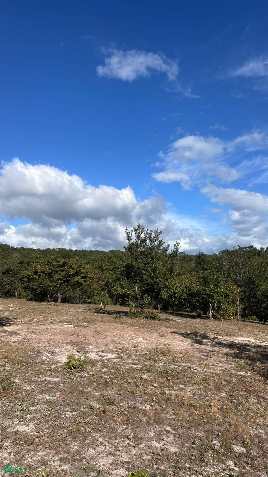 Curubande 48 Acres