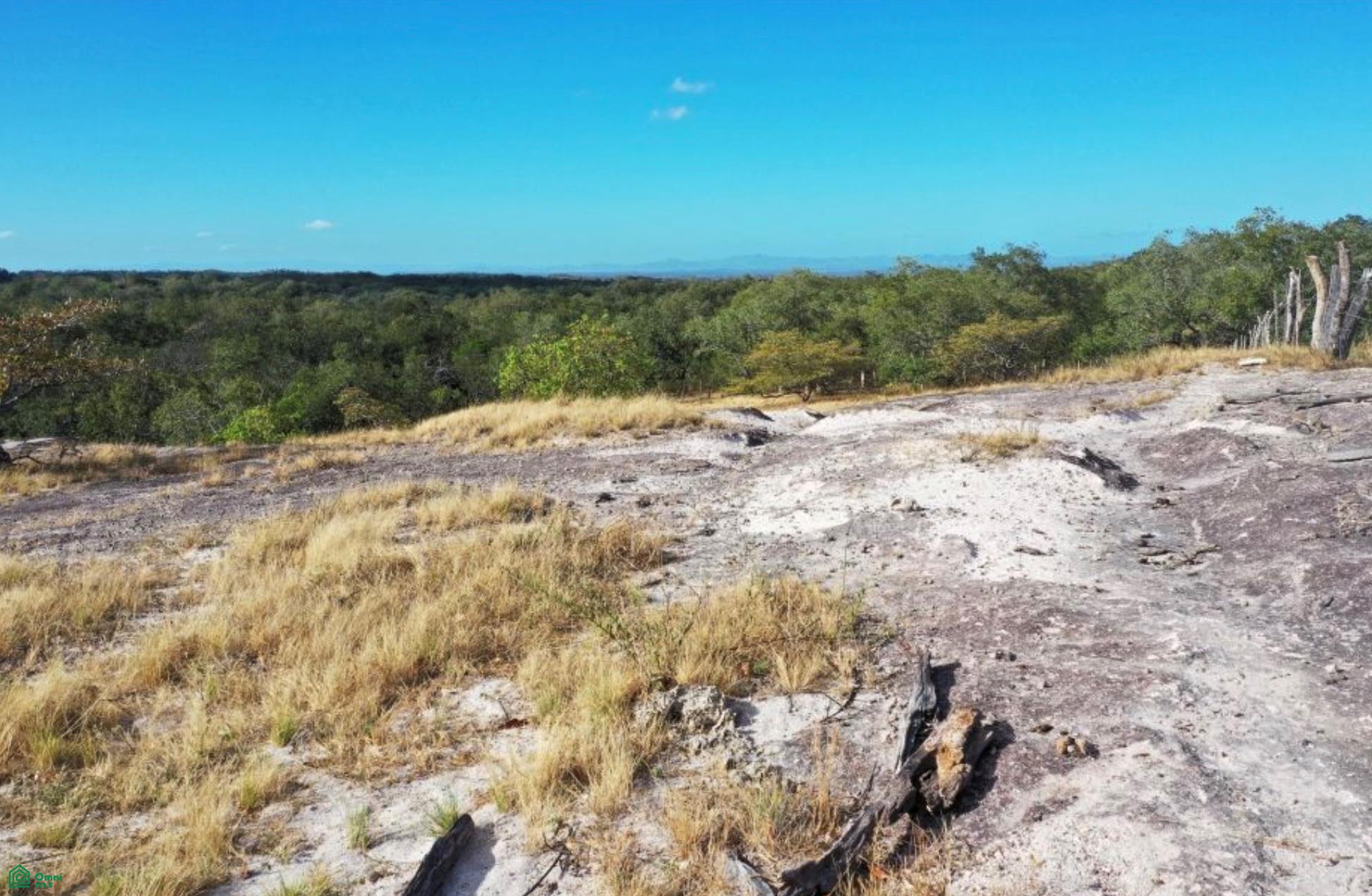 Curubande 48 Acres