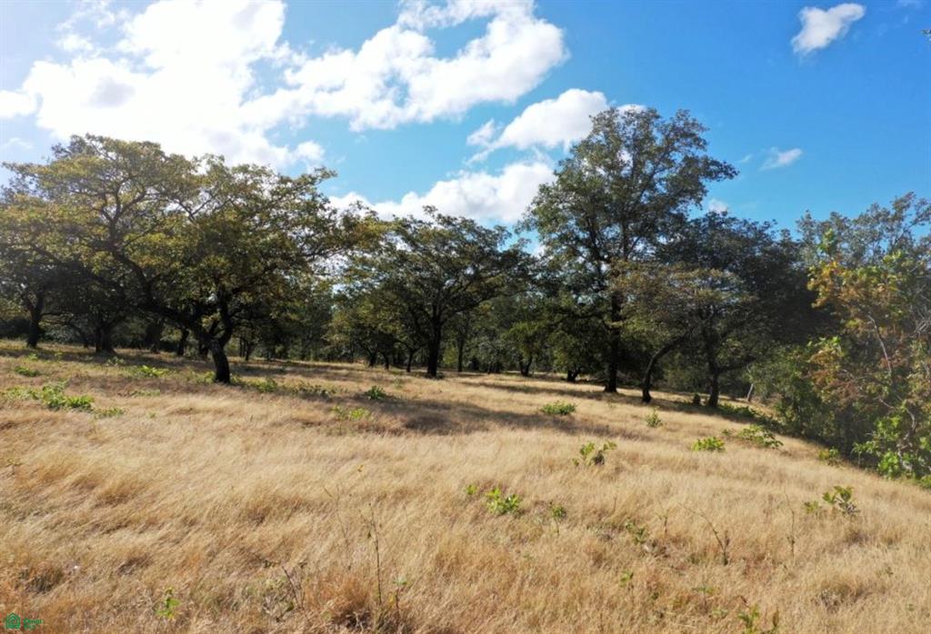 Curubande 48 Acres
