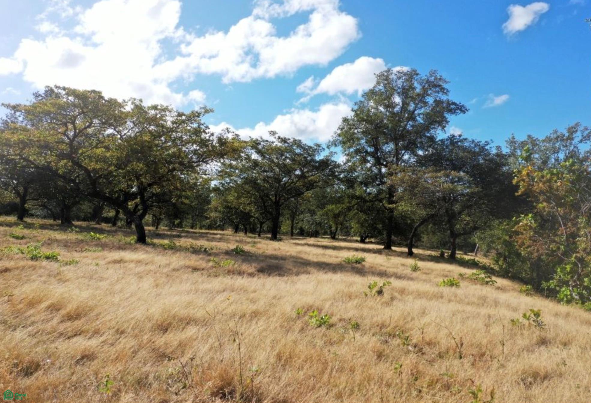 Curubande 48 Acres