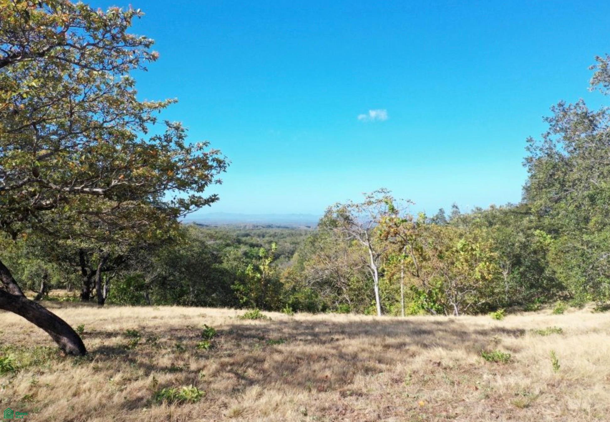 Curubande 48 Acres