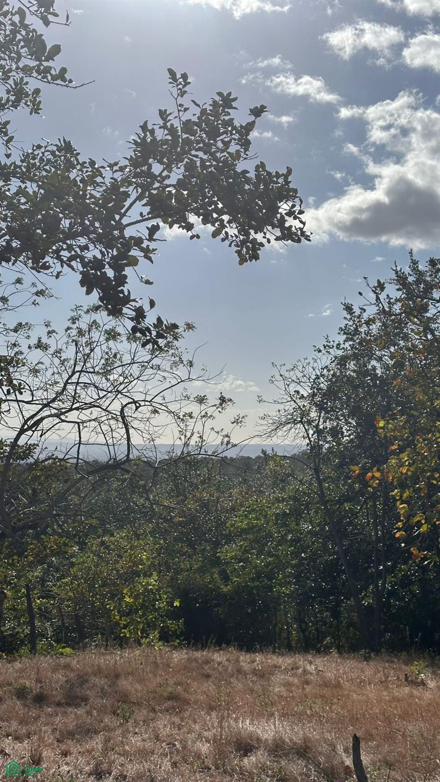 Curubande 48 Acres