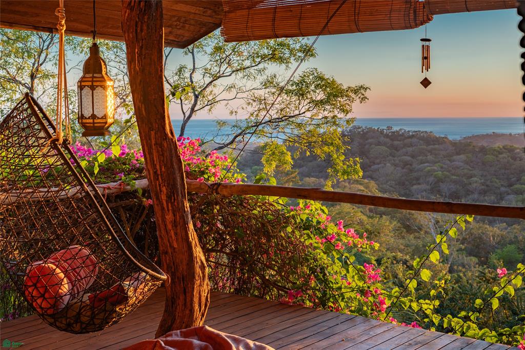 Finca Dreamland