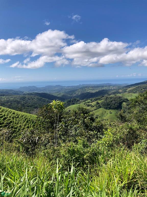 Finca Vista Clara