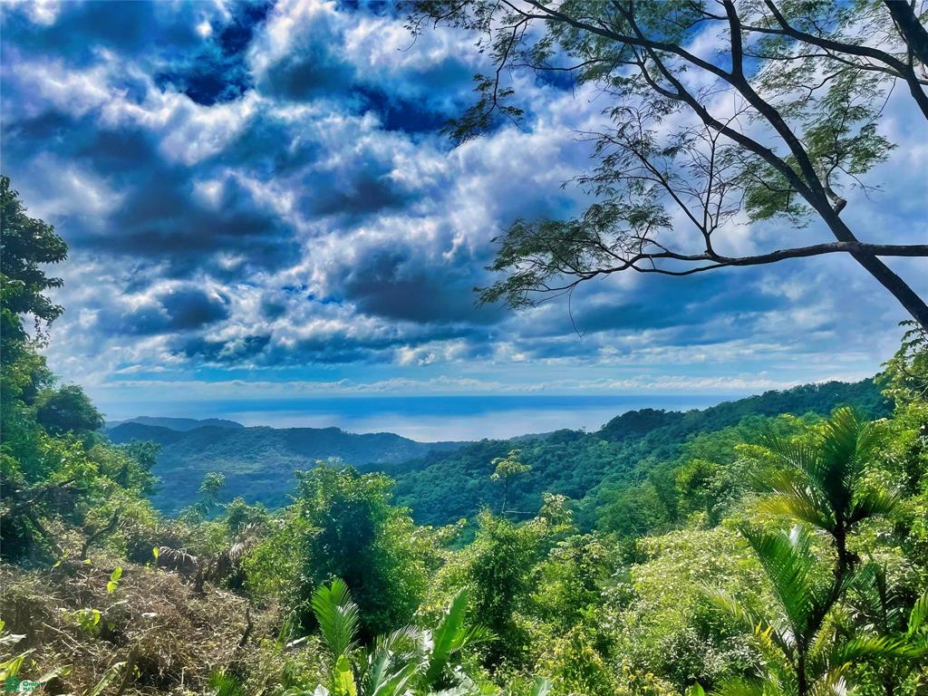 Ocean View Finca Playa Carrillo