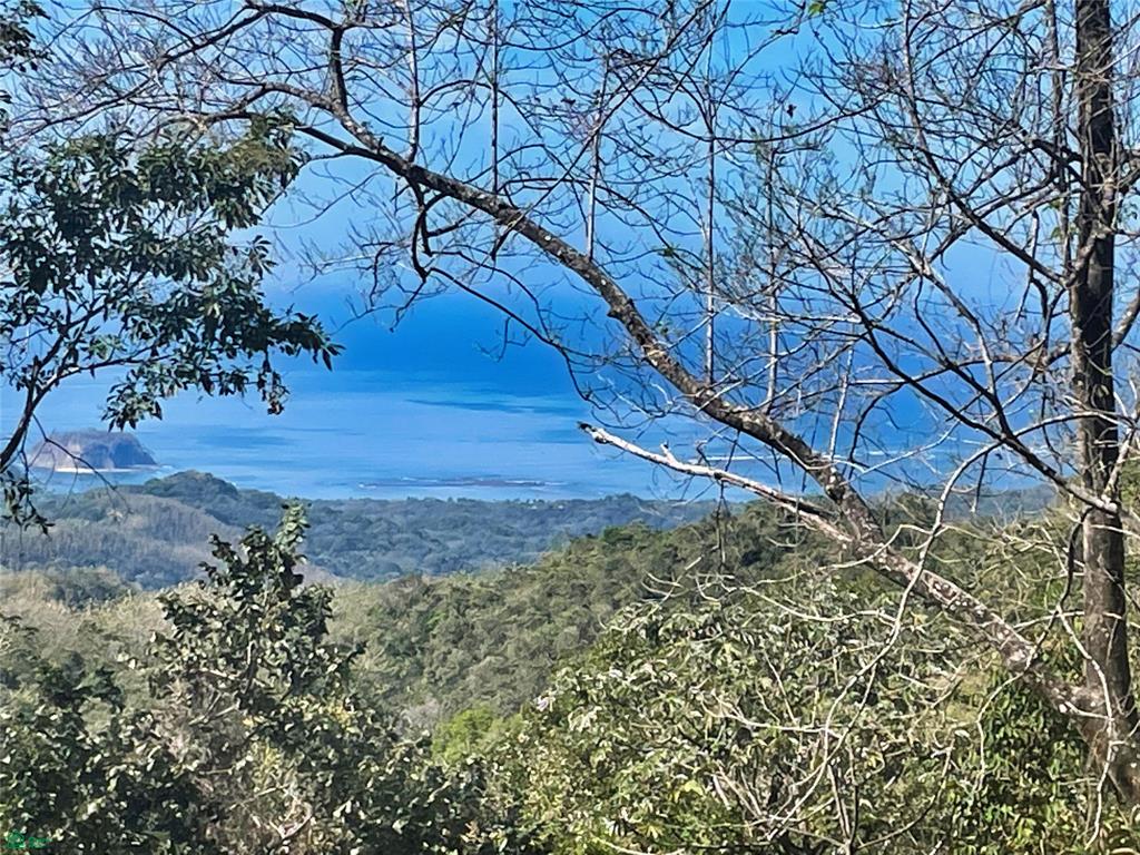Ocean View Finca Playa Carrillo