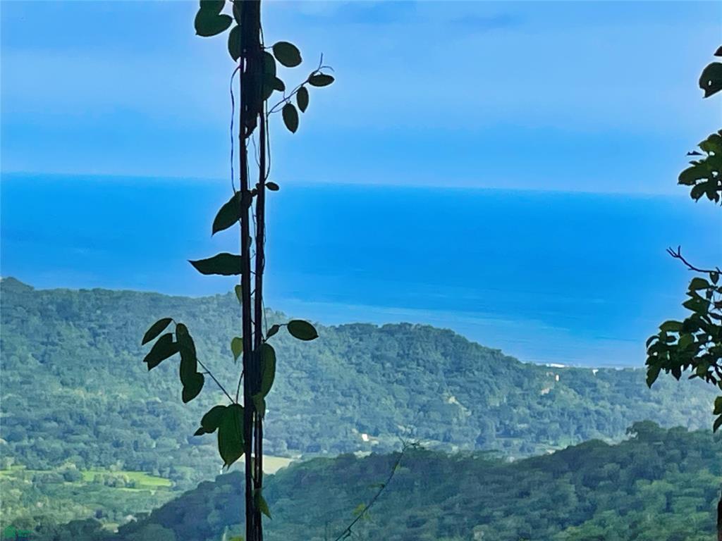 Ocean View Finca Playa Carrillo