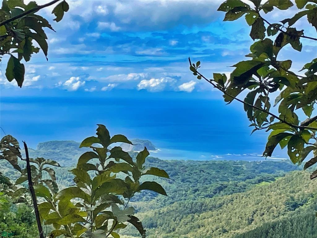 Ocean View Finca Playa Carrillo