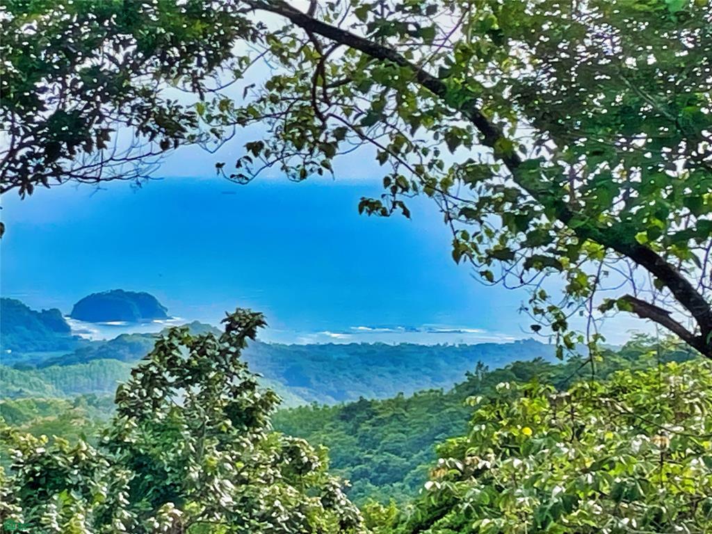 Ocean View Finca Playa Carrillo