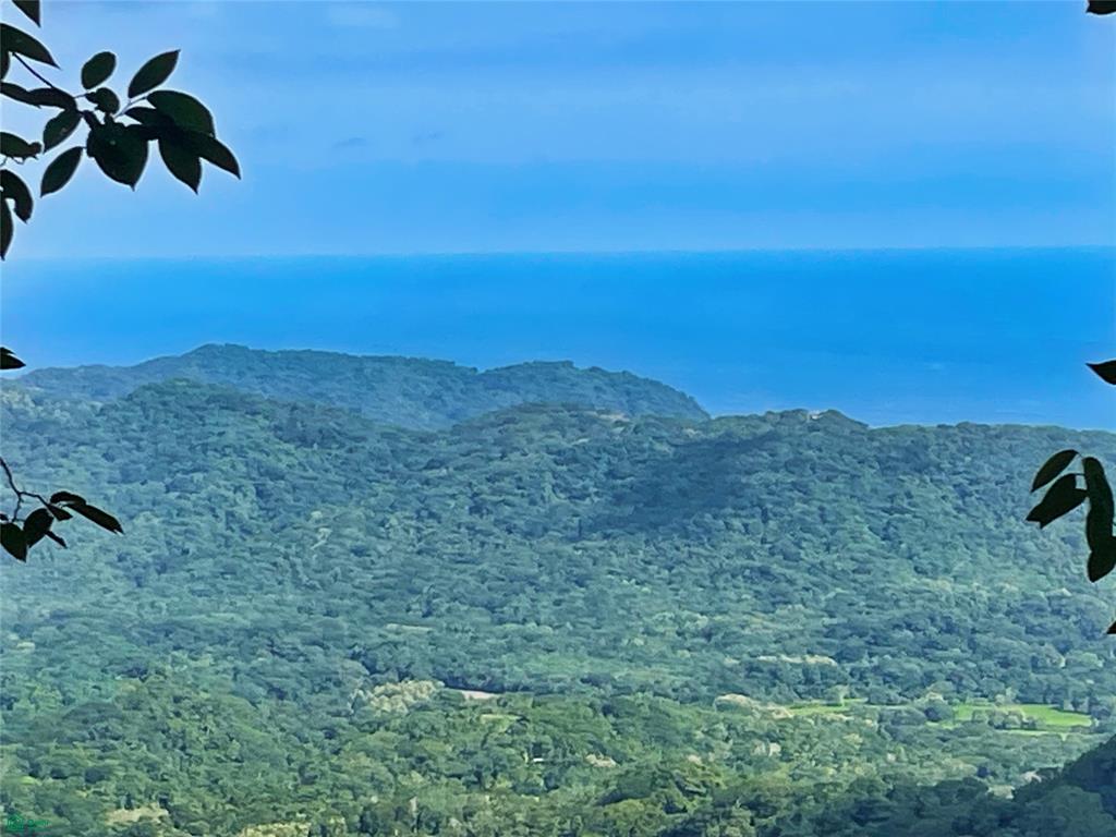 Ocean View Finca Playa Carrillo