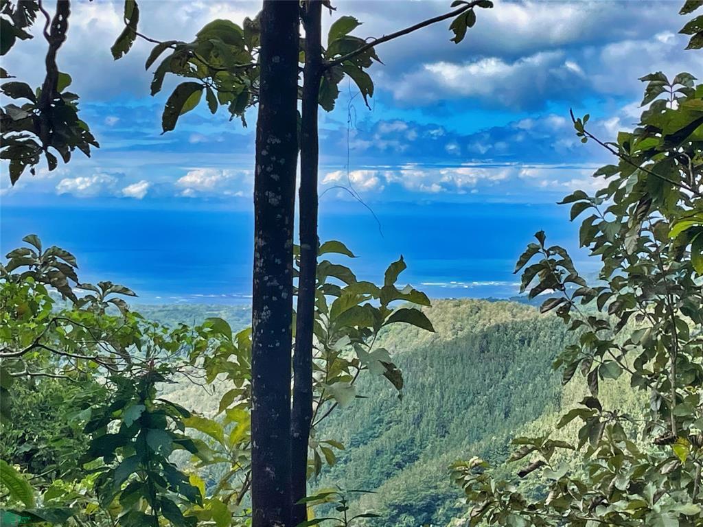 Ocean View Finca Playa Carrillo