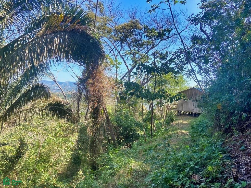Ocean View Finca Playa Carrillo