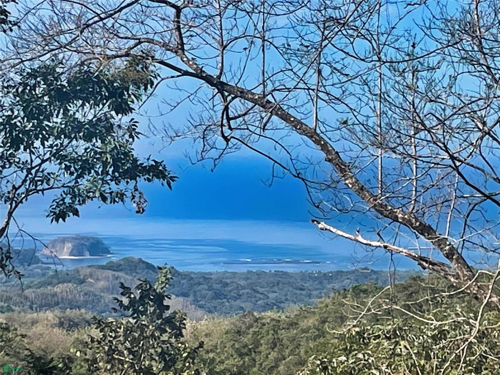 Ocean View Finca Playa Carrillo