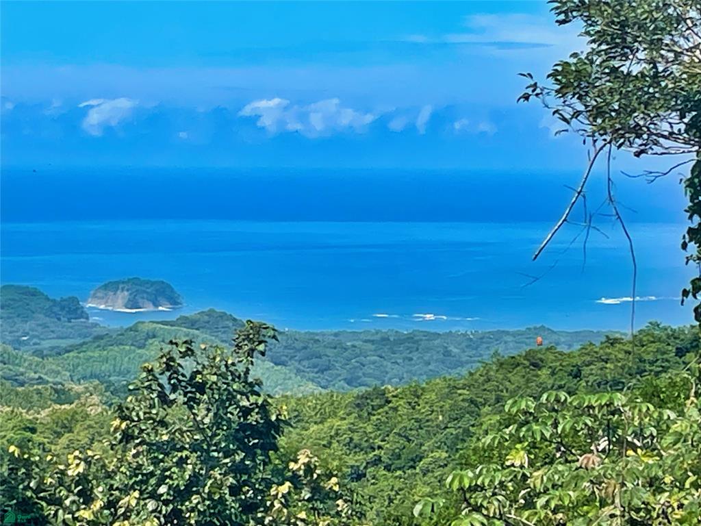 Ocean View Finca Playa Carrillo
