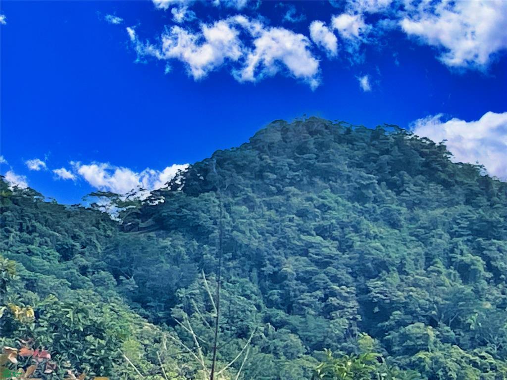Ocean View Finca Playa Carrillo