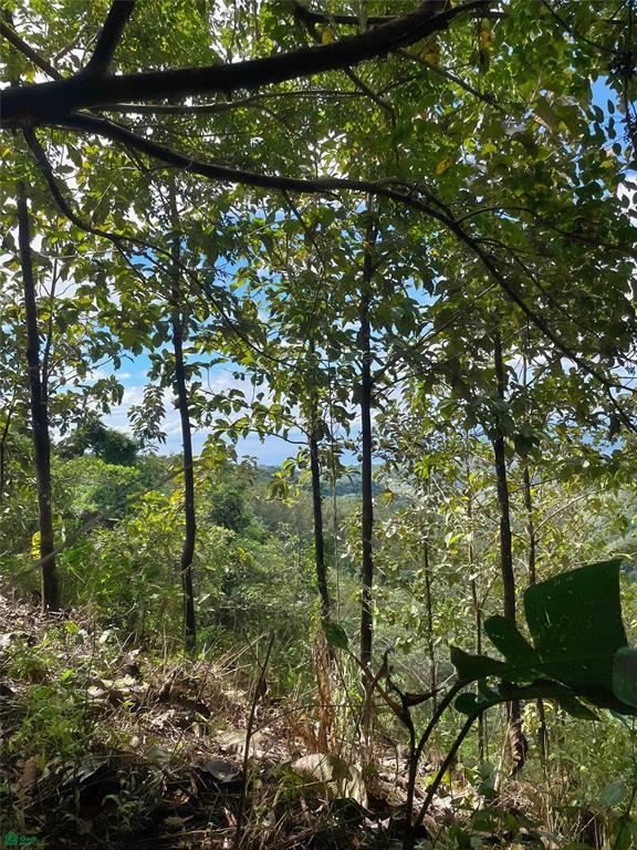 Ocean View Finca Playa Carrillo
