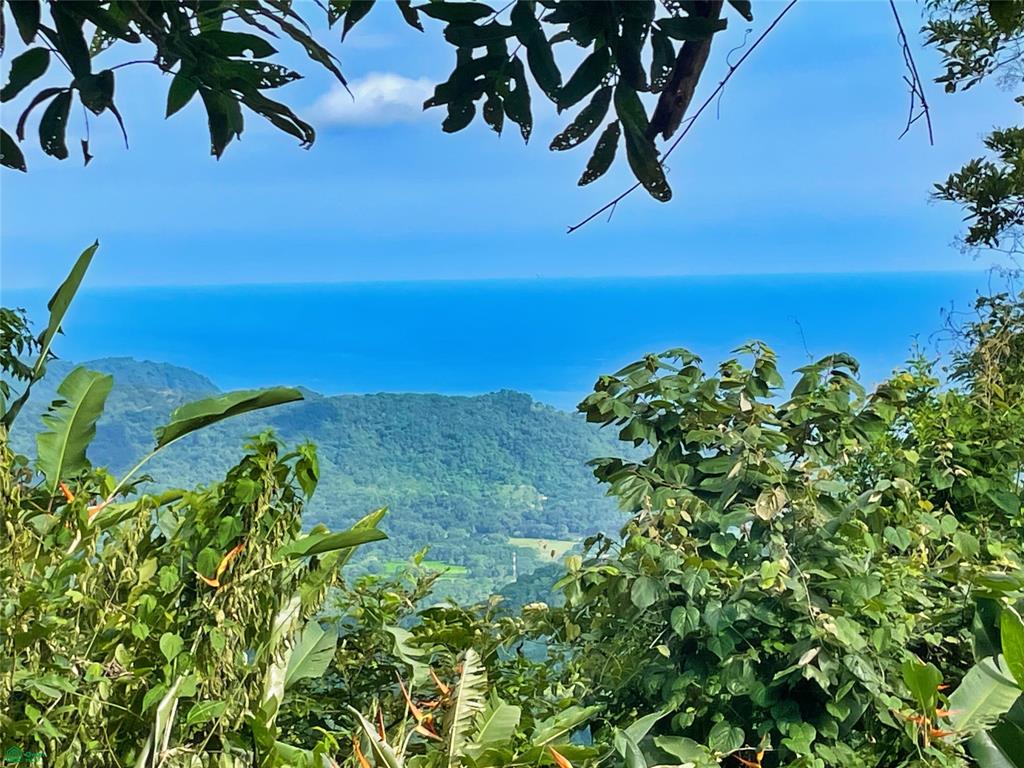Ocean View Finca Playa Carrillo