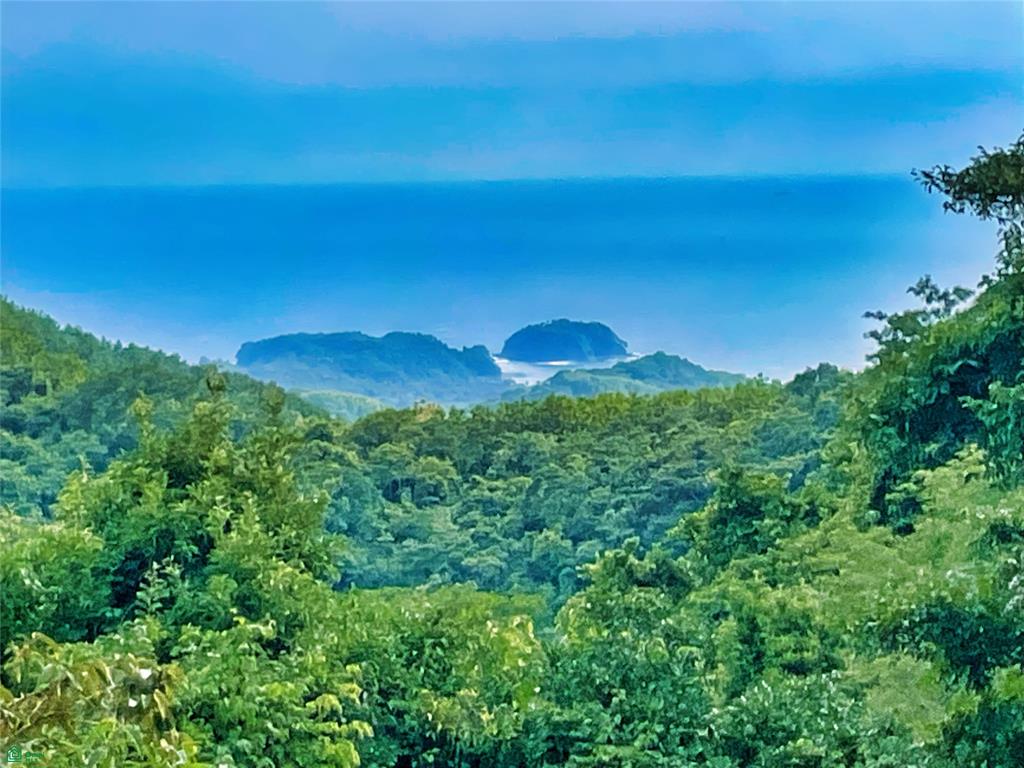 Ocean View Finca Playa Carrillo